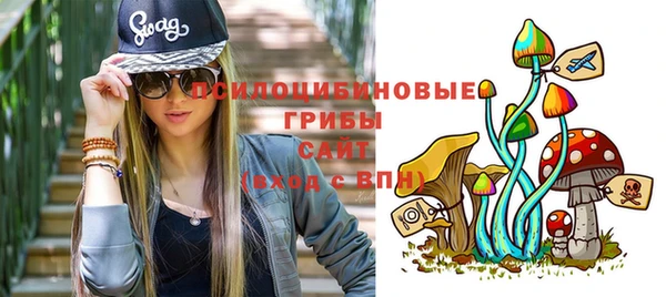 jwh Белокуриха